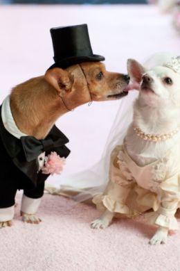 Случайная свадьба