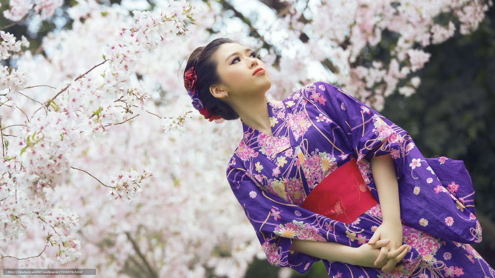 Видео красивой японской девушки. Кимоно Sakura. Япония кимоно Сакура. Сакура в кимоно. Кимоно гейши.