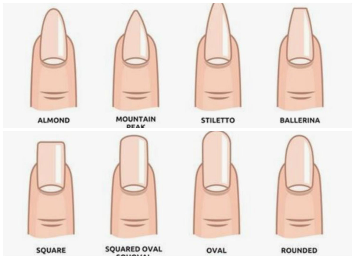 Формы ногтей для маникюра и их названия. Формы ногтей для маникюра разновидности. Формы ногтей схематично. Прикольные виды ногтей. Изменение формы ногтей