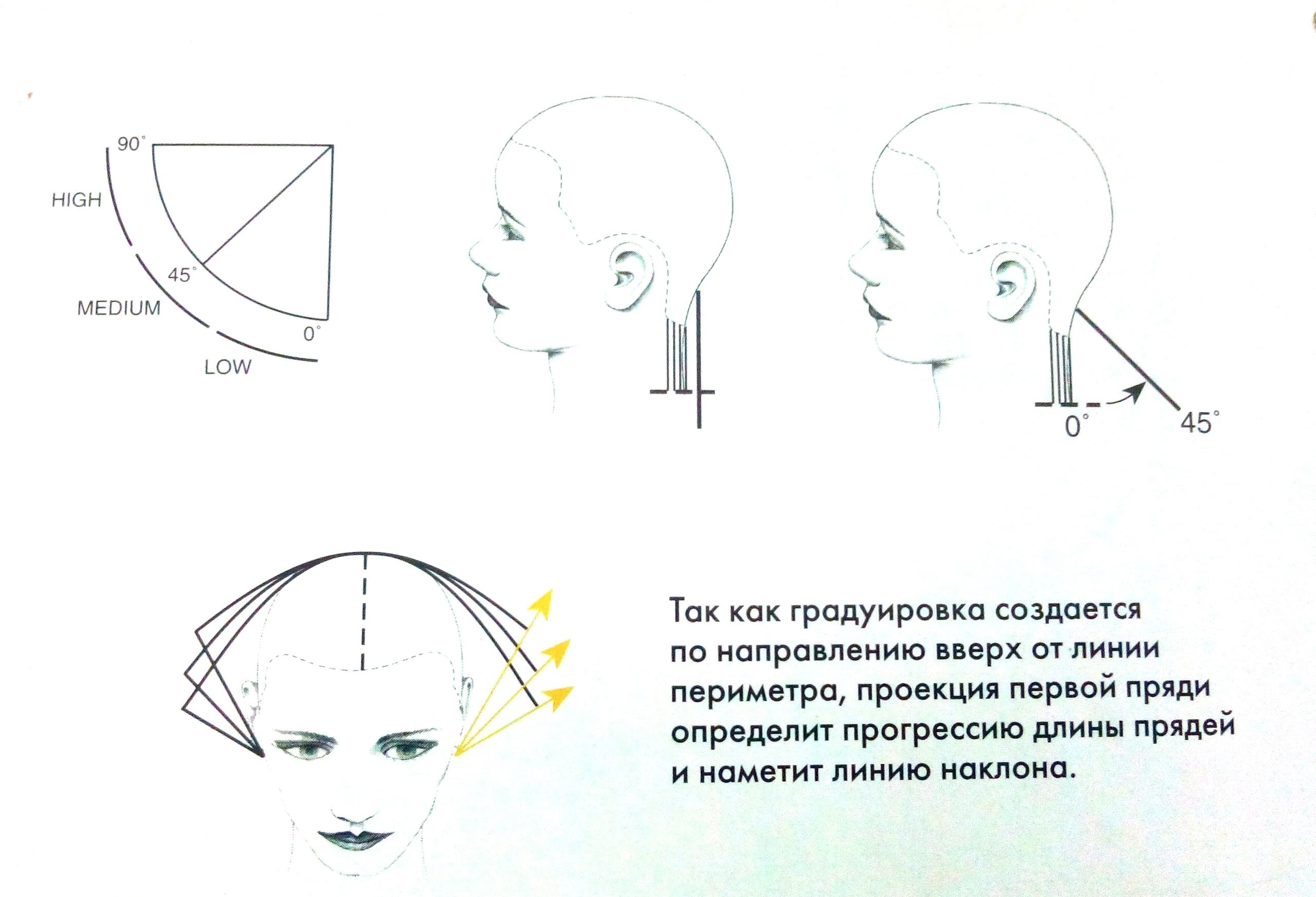 Базовые формы стрижек. Схема стрижки Боб каре градуированное. Градуированная форма стрижки схема. Технология стрижки градуированное каре схема. Градуированная форма стрижки схема формы.