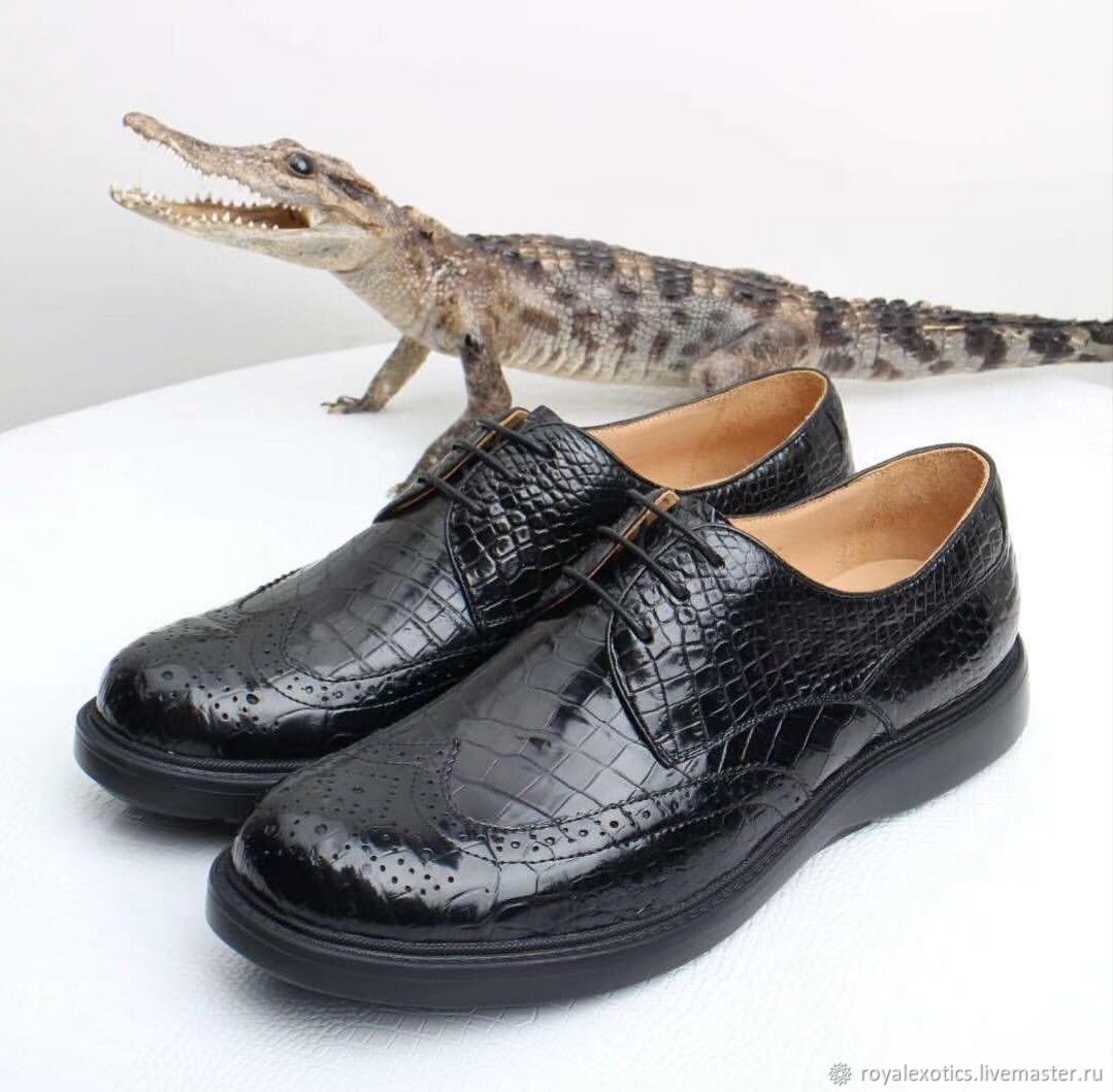 Туфли мужские крокодил. Туфли Роберто Пауло крокодиловые. Loriblu туфли мужские крокодил. Ботинки из крокодила мужские. Обувь из крокодила.