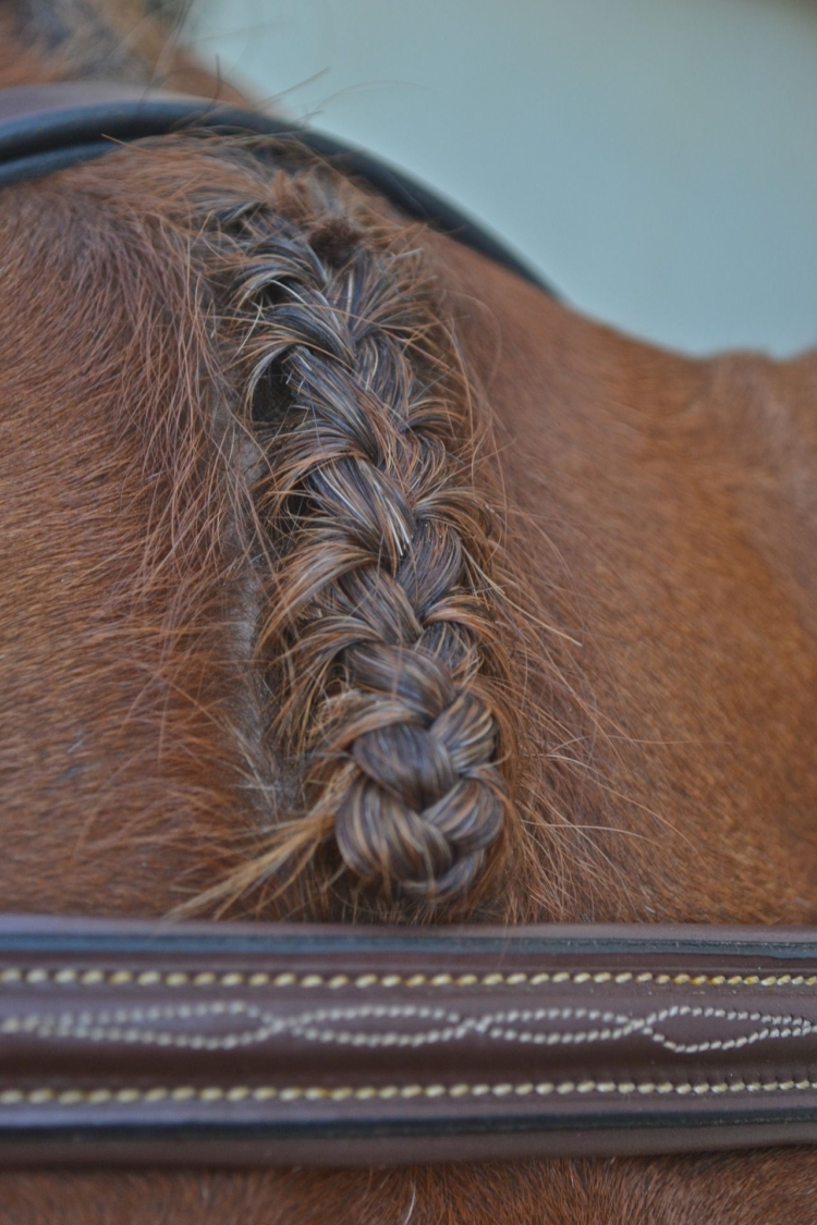 Плетение косичек лошадям
