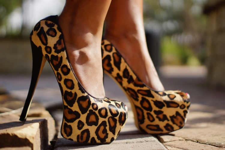 Леопардовые туфли Шарлотта Олимпия